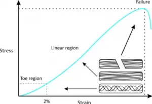 Why Did I Injure My Hamstring?