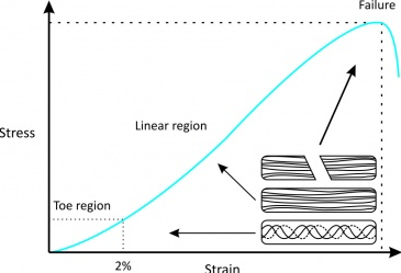 Why Did I Injure My Hamstring?